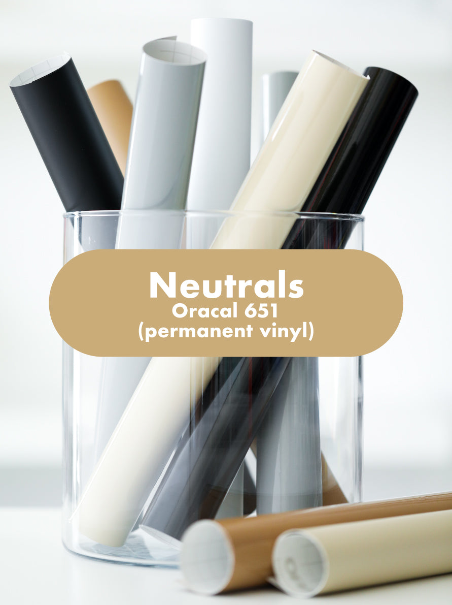 Glossy Neutrals | Oracal 651 Adhesive Vinyl Stickers for Cricut Cutting Machines 12x12
