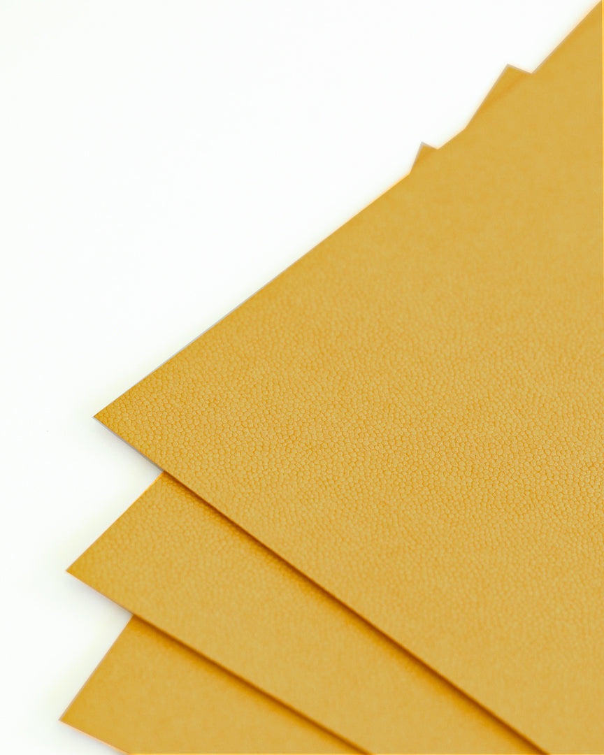 Googly Gooeys Crocodile Cardstocks for Invitation, Cake Topper, Card for Cricut Cameo